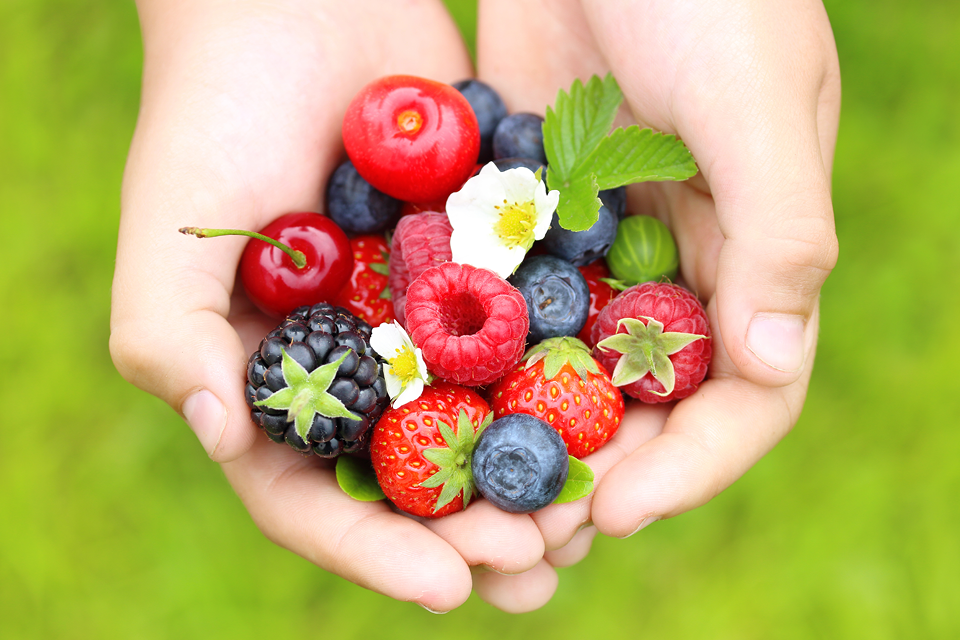 two hands holding a bunch of summer berries